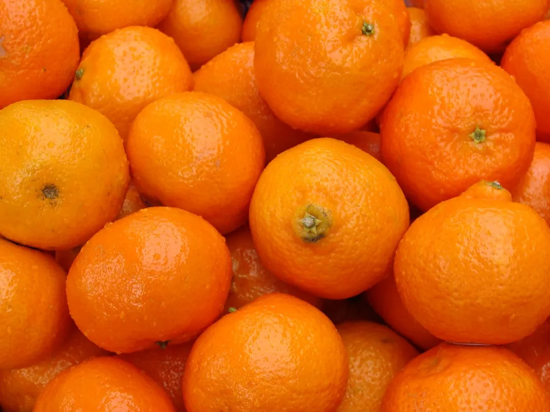oranges